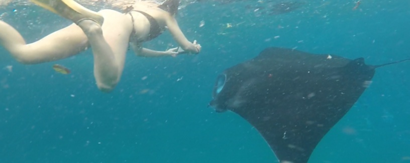 Nusa Penida Snorkeling Sharing