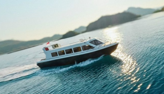 Komodo One Day Open Trips by Zada Raya Speedboat