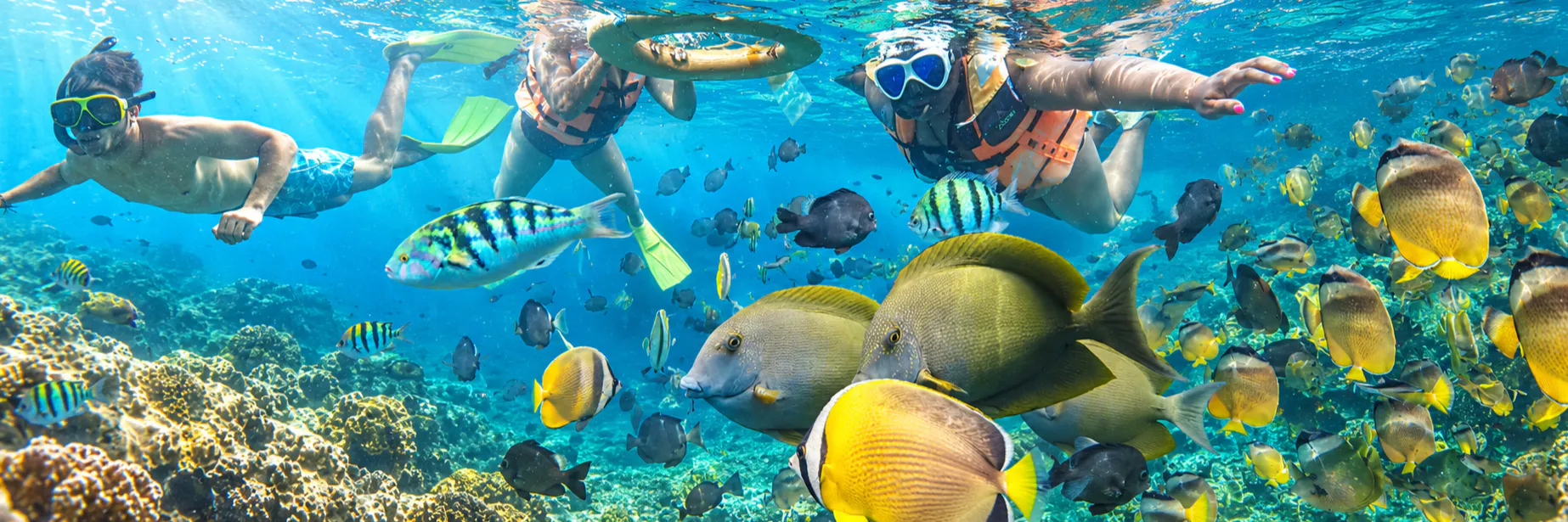 Nusa Penida West and East plus Private Snorkeling 3 Days Package Tour